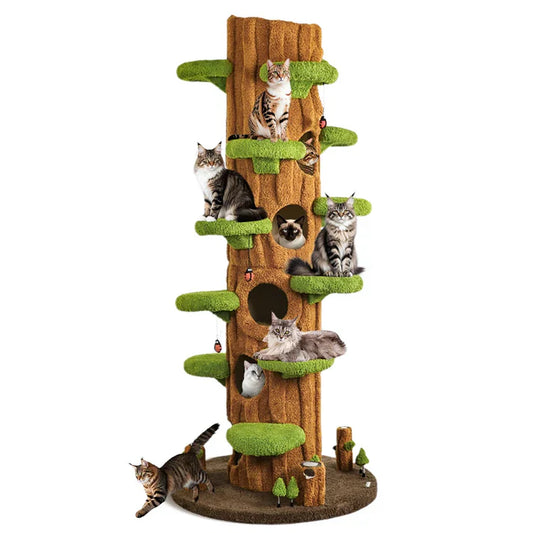 CAT TREE HOUSE