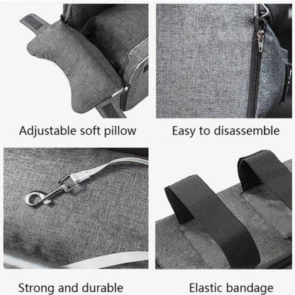 Snuggly Safe Puppy Car Seat