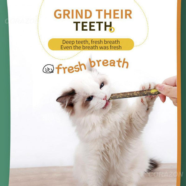 Catnip Clean Teeth Green Cat Snacks Sticks | Molar Stick Pet Supplies & Toys for Cats | Chew Toy with Natural Plants for