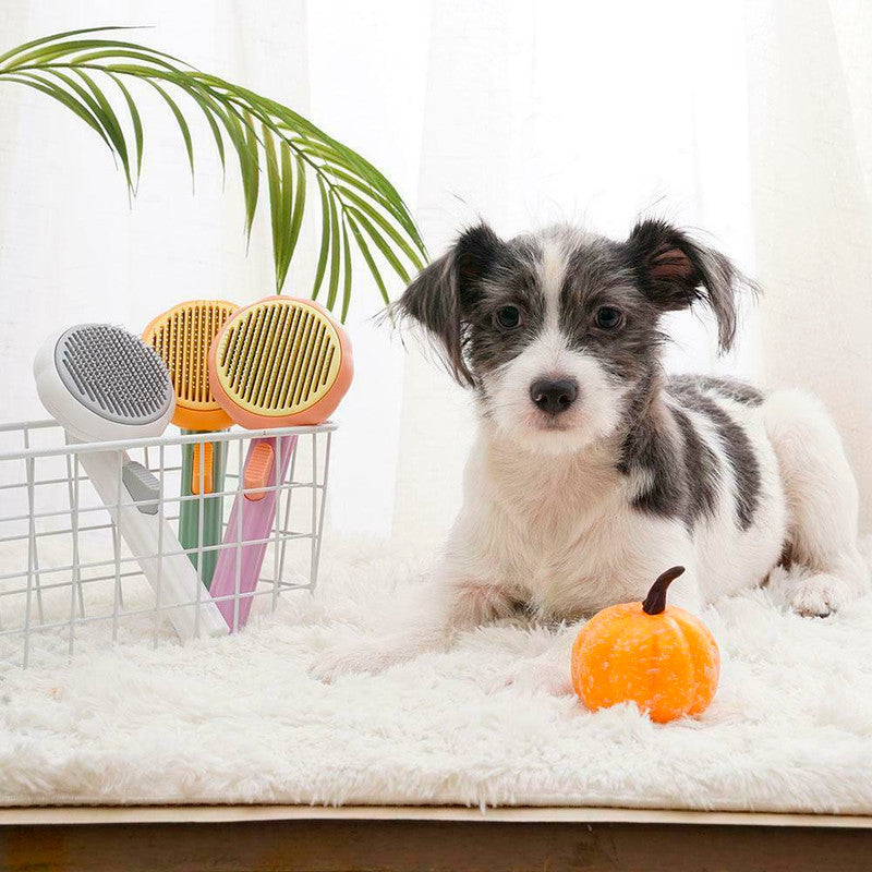 Pumpkin Brush Pet Deshedder